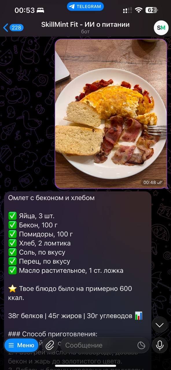 SkillMint Fit AI Bot